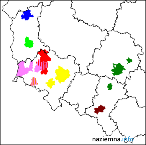 lokalnymultipleksobsz